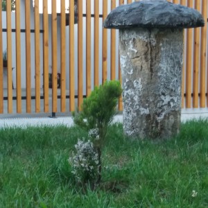 20160901_195512